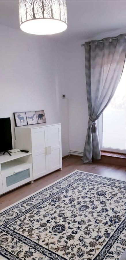 Lidia'S Apartment Сіная Екстер'єр фото