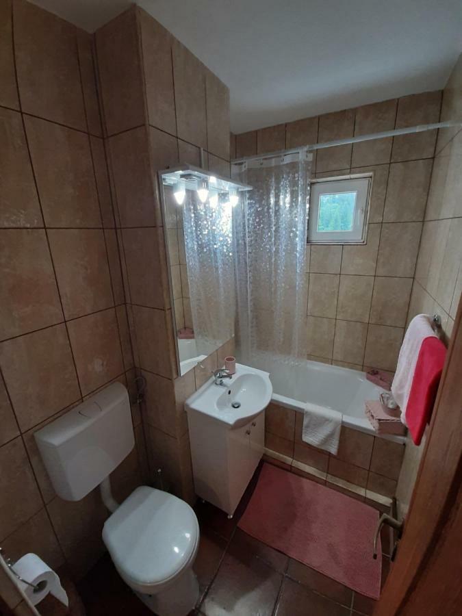 Lidia'S Apartment Сіная Екстер'єр фото